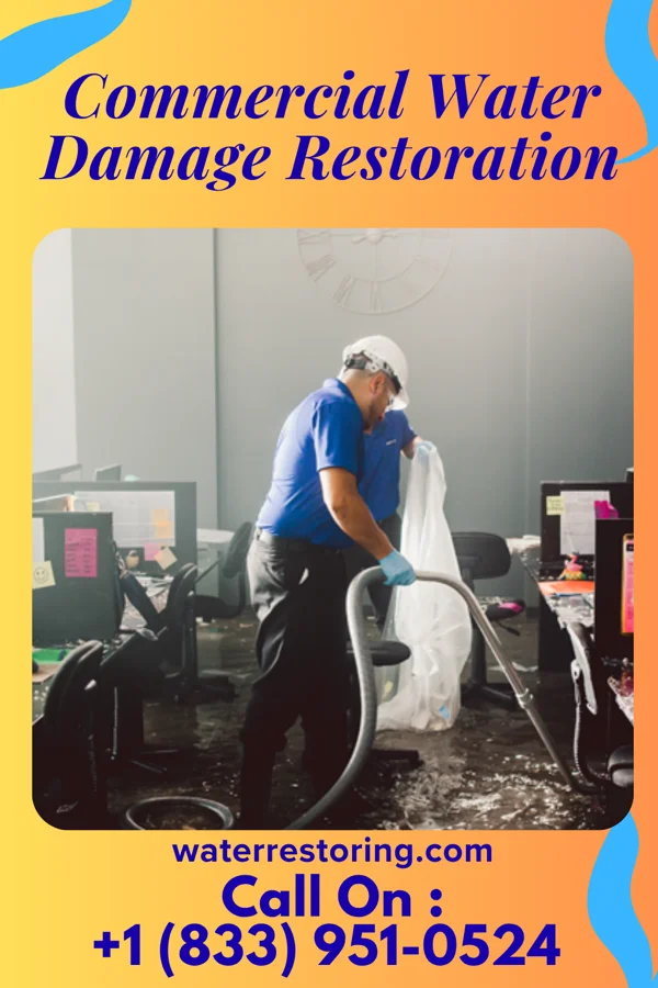 Commercial Water Damage Restoration in Irvington, IL