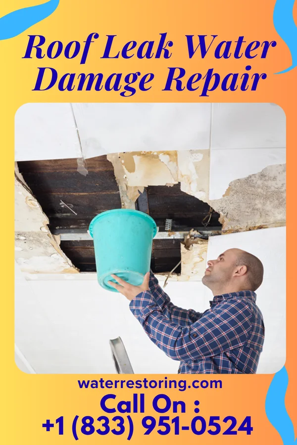 Roof Leak Water Damage Repair in Irvington, IL